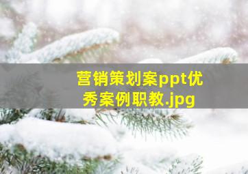 营销策划案ppt优秀案例职教