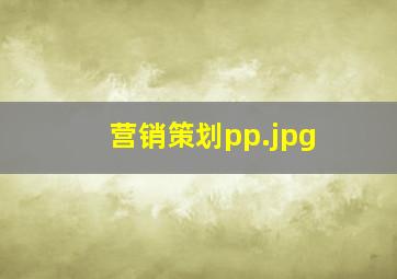 营销策划pp