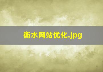 衡水网站优化
