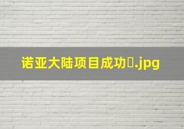 诺亚大陆项目成功�