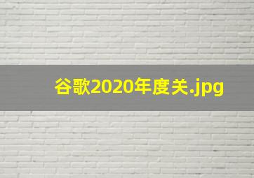 谷歌2020年度关