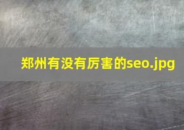 郑州有没有厉害的seo
