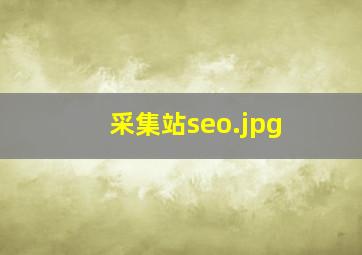 采集站seo