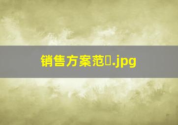 销售方案范�