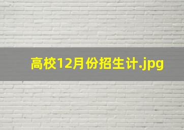高校12月份招生计