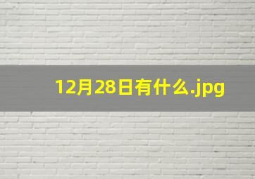 12月28日有什么