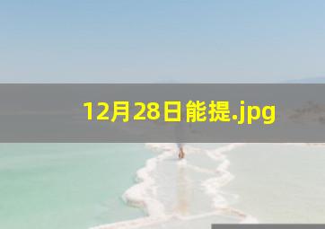 12月28日能提