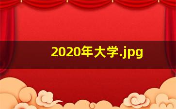 2020年大学