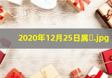 2020年12月25日属�
