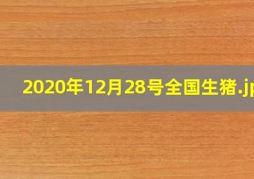 2020年12月28号全国生猪