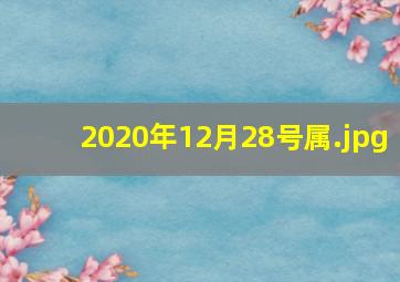 2020年12月28号属