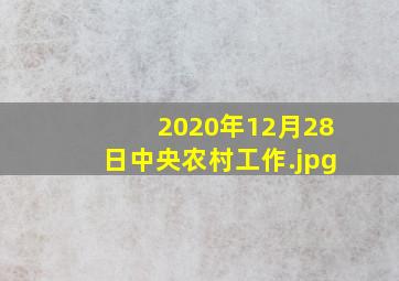 2020年12月28日中央农村工作