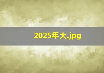 2025年大