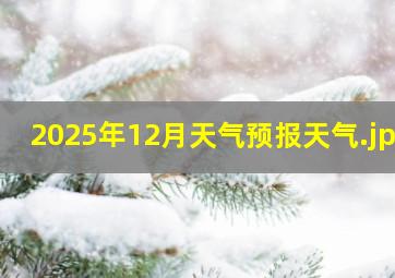 2025年12月天气预报天气