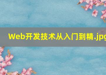 Web开发技术从入门到精