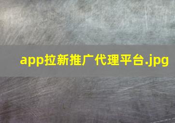 app拉新推广代理平台