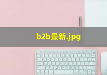 b2b最新