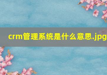 crm管理系统是什么意思