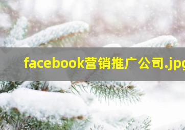 facebook营销推广公司