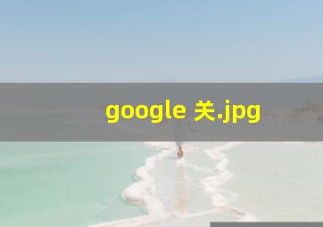 google 关