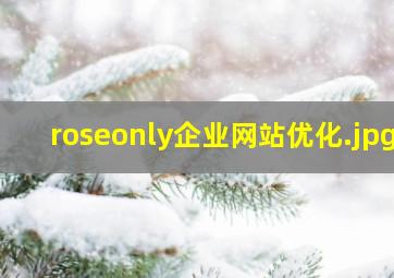 roseonly企业网站优化