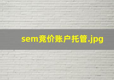 sem竞价账户托管