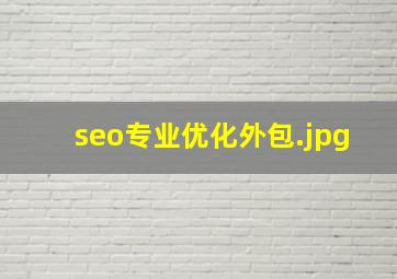 seo专业优化外包