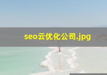 seo云优化公司