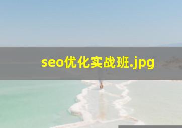 seo优化实战班