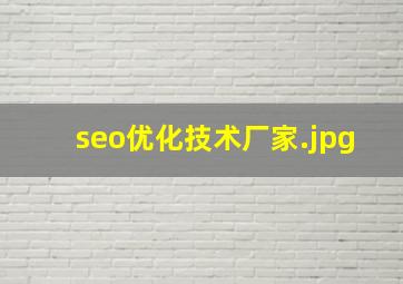 seo优化技术厂家