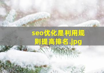 seo优化是利用规则提高排名