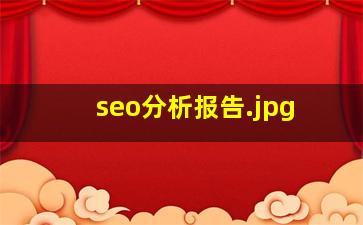 seo分析报告