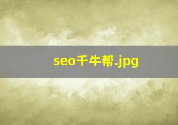 seo千牛帮
