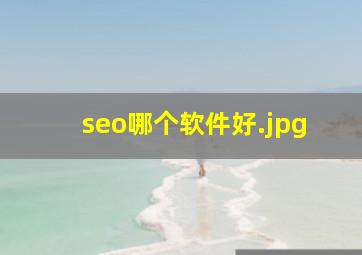 seo哪个软件好