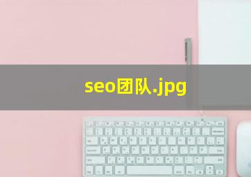 seo团队