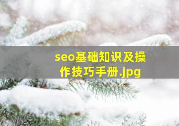 seo基础知识及操作技巧手册