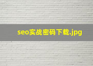 seo实战密码下载