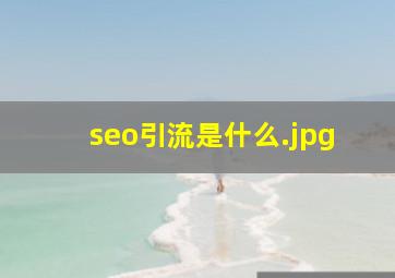 seo引流是什么