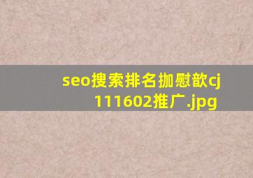 seo搜索排名拁慰歆cj111602推广