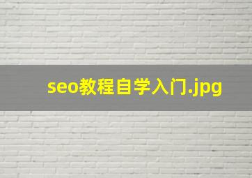 seo教程自学入门