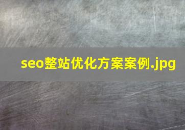 seo整站优化方案案例