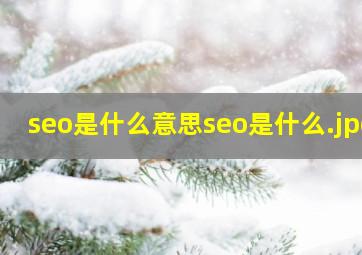 seo是什么意思seo是什么