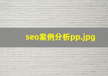 seo案例分析pp