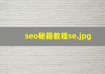 seo秘籍教程se