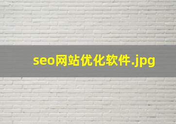 seo网站优化软件