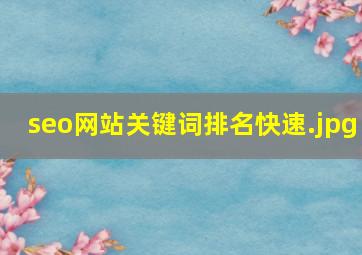 seo网站关键词排名快速