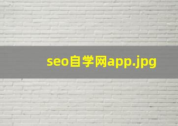 seo自学网app