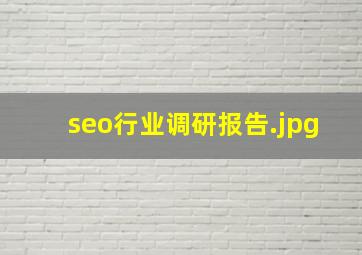 seo行业调研报告