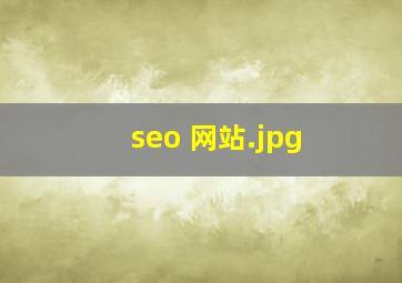 seo 网站
