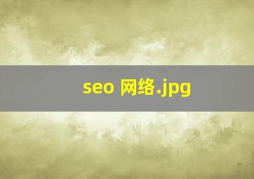 seo 网络